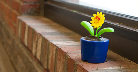 Happy flower pot