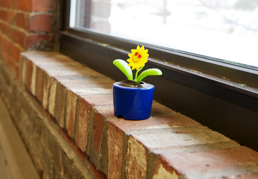 Happy flower pot